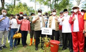 Kepala BNPB – Gubernur Maluku Tanam Pohon di Ambon