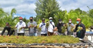 Maluku Tenggara Mudahkan Investasi Dukung “Seaweed Estate” KKP