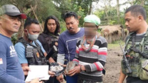 Edarkan Ganja, Perangkat Desa dan Istri di Jayawijaya Diamankan Polisi