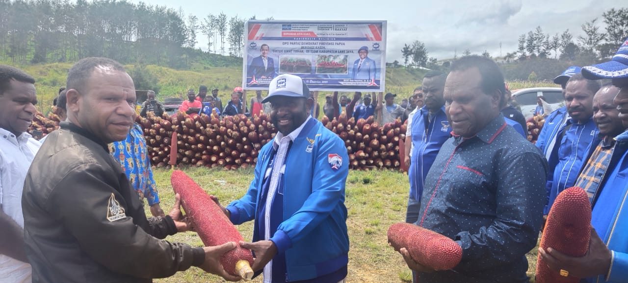 WhatsApp Image 2021 12 15 at 20.48.02