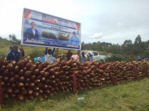 WhatsApp Image 2021 12 16 at 16.09.45