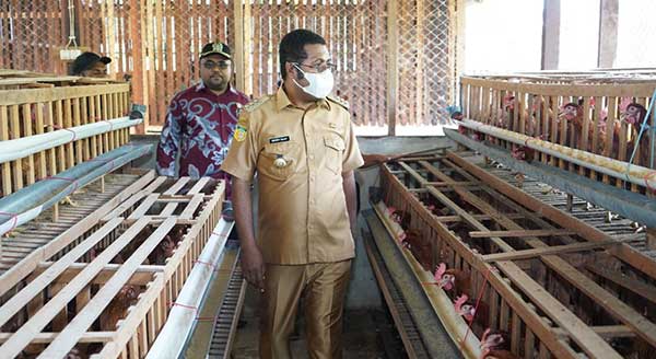 Bupati Herry AN Bantuan Ayam Petelur2