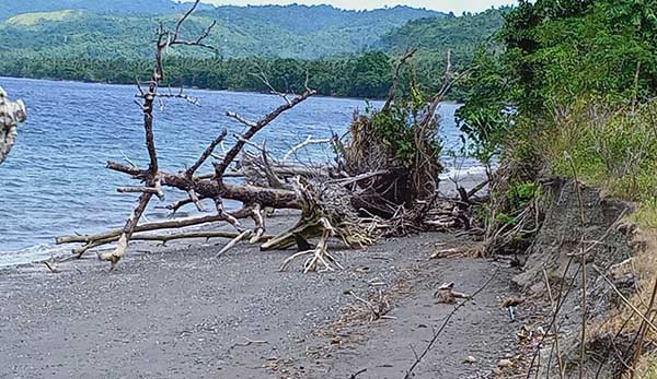 Galian C Rusak Pantai Waesamu2