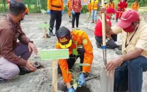 SAR – Freeport Tanam Pohon Bintangur di MP 21 Maurupauw Timika