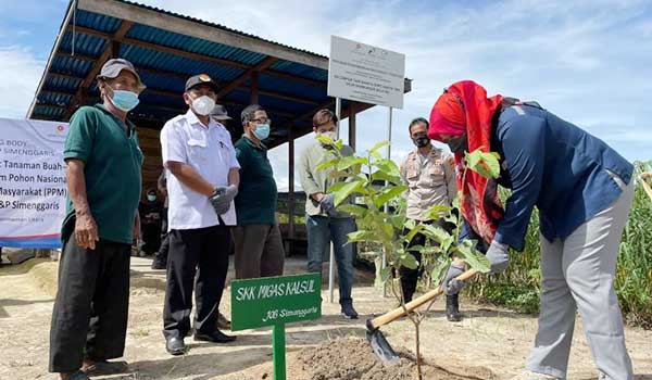 SKK Migas Tanam 17 Juta Pohon