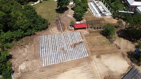 Kodam PTM Gandeng Unpatti Kedaulatan Pangan2