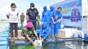 Optimalkan Keramba Jaring Apung, Lantamal IX Tebar Benih Ikan