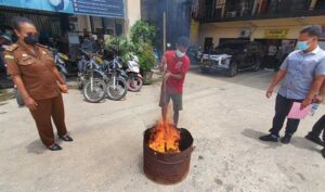 Penyidik Musnahkan 722,60 Gram Ganja, Pemilik Terancam 12 Tahun Bui
