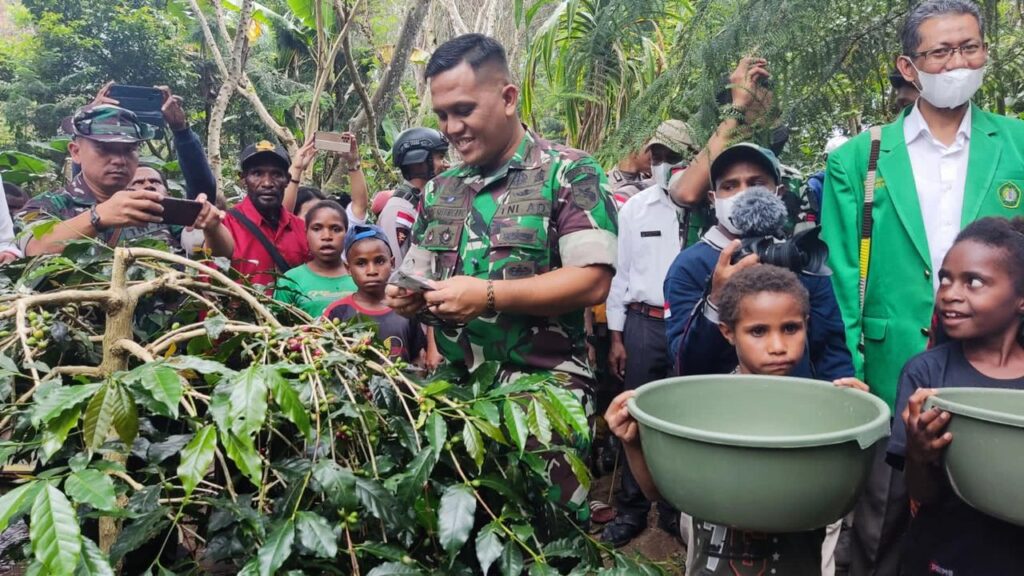 Panen Raya Hipere dan Kopi Wamena Binaan Babinsa Kodim 1702/Jayawijaya