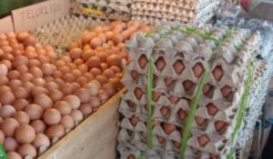 Jelang Ramadhan, Harga Telur Ayam di Ambon Naik