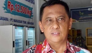 Cegah PMK Hewan, Pemprov Papua Larang Masuk Hewan dari Luar