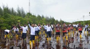 Lantamal X Tanam 5000 Pohon Mangrove di Pantai Ciberry Jayapura