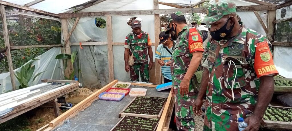 Babinsa Koramil Kuala Kencana Apresiasi Petani Hidroponik