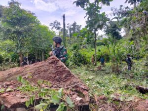 Satgas TNI Yonif 142/KJ Bantu Buka Lahan Kebun Warga