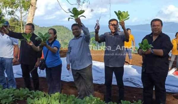 hortikultura pemkot ambon