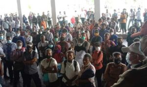 Dorong Penuntasan 20 Ribu Honorer, Kogoya : Tahun Depan Tidak Ada Penerimaan Lagi
