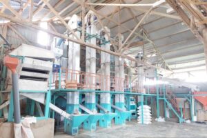 PLN UIWP2B Dukung Produktivitas Sektor Pertanian di Papua