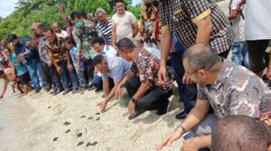 Pemerintah Ingatkan Masyarakat Lestarikan Penyu