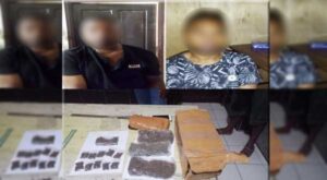 Polisi Bekuk 2 Pengedar Ganja di Mamberamo Raya, Terancam 20 Tahun Bui