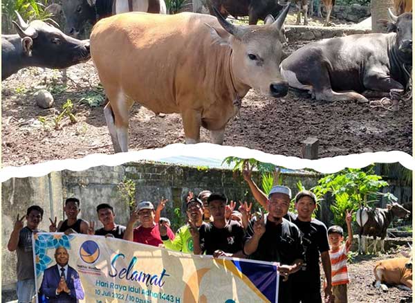 BKM AT – Taqwa Dapat Hewan Qurban