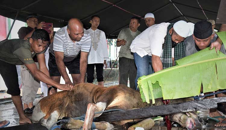 Danrem 151 Bny Hewan Kurban Idul Adha 1443 H2