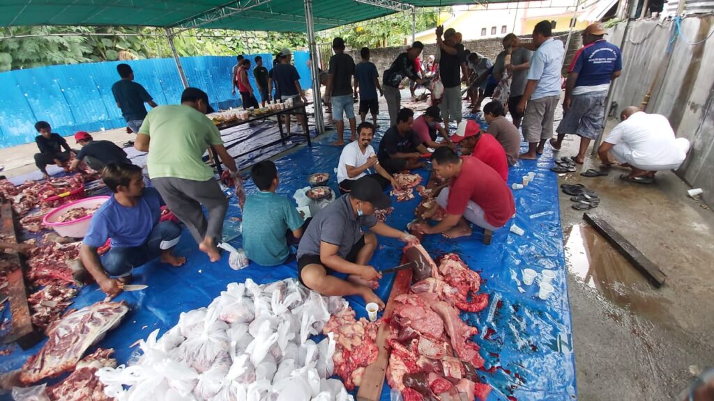 Masjid Baitul Makmur Sembelih 11 Ekor Sapi, Terbagi Habis Untuk 502 KK