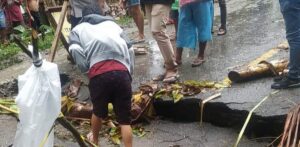 Curah Hujan Tinggi, Jalan Trans Seram Di Desa Nuruwe Putus