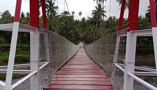 Jembatan Gantung Desa Togola Wayoli