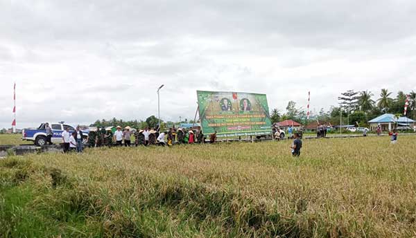 Kasdam PTM Panen Padi Perdana di Buru