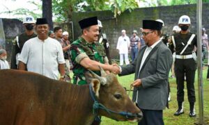 Kodam Pattimura Gelar Sholat Idul Adha Bersama dan Potong Hewan Kurban