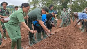 Kodim Boven Digoel Tanam Jagung Dukung Ketahanan Pangan Daerah