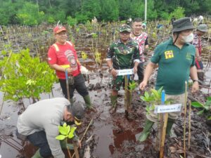 Personil TNI Ikut Aksi Tanam 500 Bibit Pohon Mangrove di Teluk Youtefa