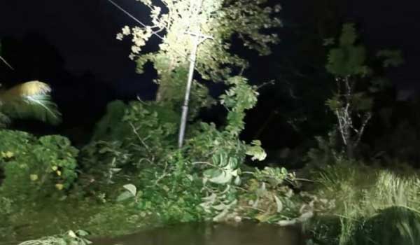 jaringan listrik saparua