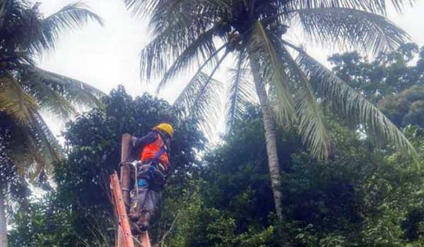 pemulihan jaringan listrik