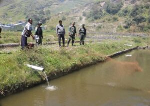 Satgas TNI 301/PKS Gandeng Dinas Pertanian dan Perikanan Puncak Jaya Budidaya Ikan Air Tawar