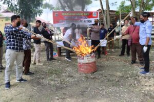 Polres Keerom-Kejari Jayapura Musnahkan BB Ganja Seberat 8,6 Kg