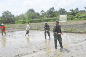 Korem 172/PWY Bersama Poktan Siapkan Lahan Sawah Seluas 5 Hektar