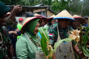 Pangdam Cenderawasih Launching Pembangunan Sentra Industri Kakao Di Jayapura