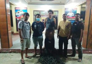 Timsus Polres Keerom Tangkap Pelaku Pencurian 8 Ekor Sapi Di Swakarsa