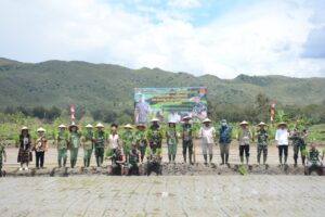 Luar Biasa, TNI Rubah Lahan Tidur Menjadi Persawahan Di Pegunungan Papua