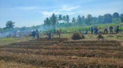 Pemprov Garap Lahan Tidur 43 Hektar Jadi Kebun Ketahanan Pangan Papua Barat 11 IMG 20221104 WA0001 1