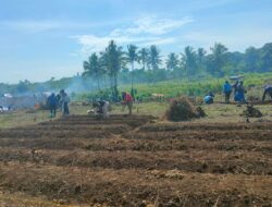Pemprov Garap Lahan Tidur 43 Hektar Jadi Kebun Ketahanan Pangan Papua Barat