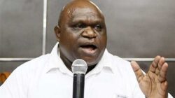 Nilai Mendagri Abaikan SDM Meepago, Natalius Pigai : Diskriminatif Itu Dimulai Dari Jakarta 17 Natalius Pigai