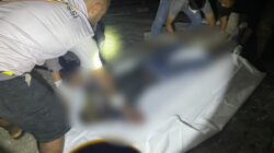 WhatsApp Image 2022 11 05 at 11.20.12