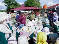 Kebun “Mutiara Pattimura” Edukasi Siswa TK Cara Berkebun dan Manfaat Sayur-mayur