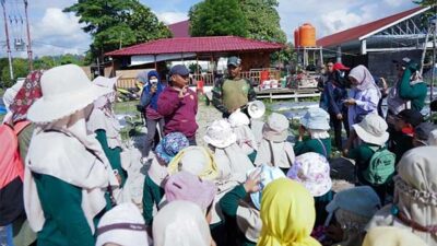 IMG 20221208 WA0027