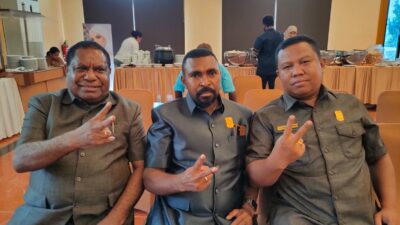 Partai NasDem PB dan PBD Apresiasi Pembagian Dapil Pileg 2024