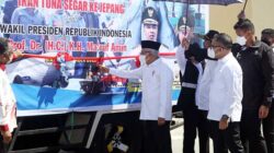 Wapres RI Lepas Ekspor Tuna ke Jepang Hingga Beri Bantuan ke Nelayan 11 Wapres Ri lepas Ekspor Tuna dari Biak