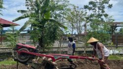 Kasihiw Ajak Masyarakat Teluk Bintuni Kembali ke Kebun Perkuat Pangan Lokal 9 WhatsApp Image 2022 12 03 at 11.59.19