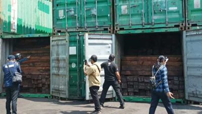 kayu ilegal Papua
